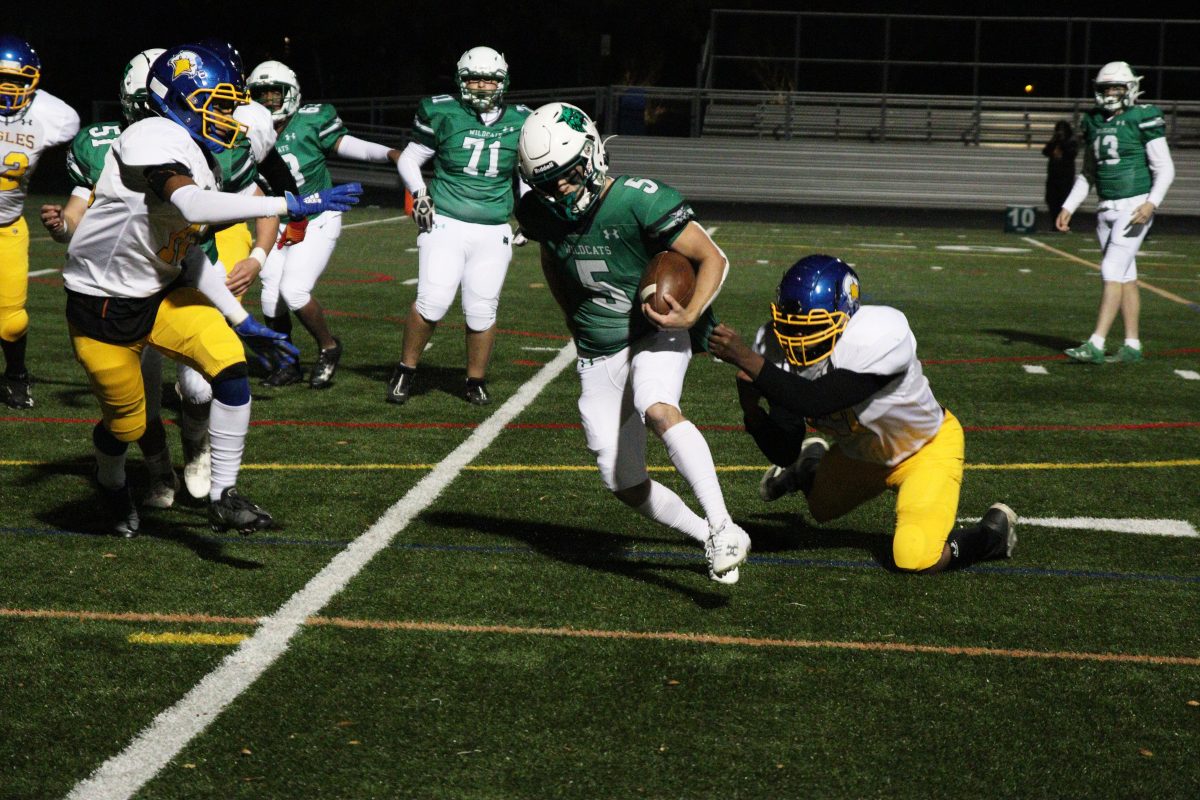 Senior Pierce Goodenow rushes past the High Point defense. The Wildcats defeated the Eagles 61-12 on Friday, Nov. 3.