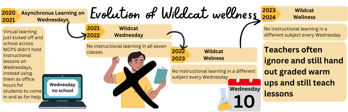Where did Wildcat wellness go?