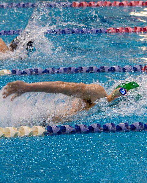 Junior Noah Potter breaks the water during a freestyle stroke. Potter earned third place in the 100 yard butterfly and fifth place in the 100 yard backstroke at the state championship. Potter aims to lead the Wildcats to a state championship next year.