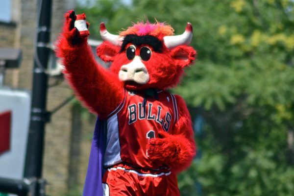 This classic mascot, Benny the Bull is a classic entertainer during time-outs and halftime for the Chicago Bulls. He is among the few who would instantly TKO me and I would stay knocked out.